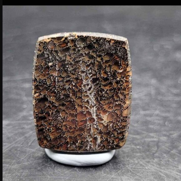 HUGE DEAL Utah Gembone (Dino Bone) Cab Lot of 3- 50.5CTS - Picture 9 of 11